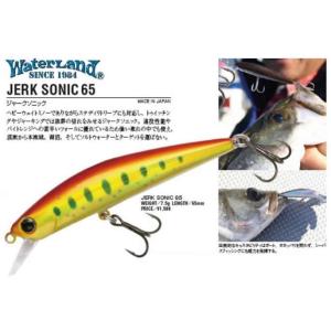 WaterLand ウォーターランド ジャークソニック 65 WaterLand ウォーターランド ジャークソニック 65