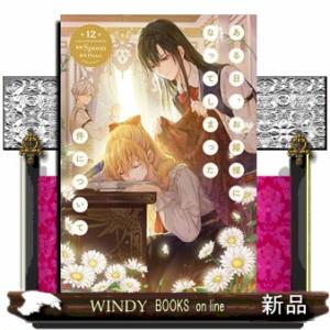 ある日、お姫様になってしまった件について　１２