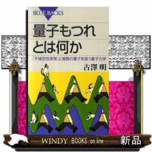 量子もつれとは何か  「不確定性原理」と複数の量子を扱う量子力学