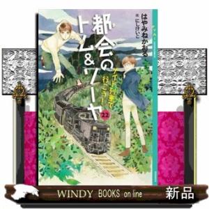 都会のトム＆ソーヤ 22 ナイト列車で行こう！の高価買取価格