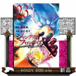シャングリラ・フロンティア　２３  クソゲーハンター、神ゲーに挑まんとす