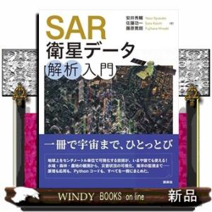 SAR衛星データ解析入門