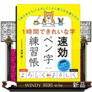 1時間できれいな字速効ペン字練習帳