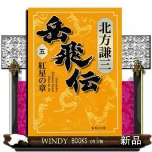 岳飛伝紅星の章5