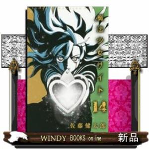 魔法少女サイト(14)