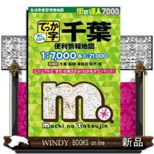 でっか字千葉便利情報地図　４版