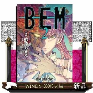 BEM(2)