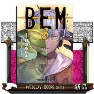 BEM(3)(完)