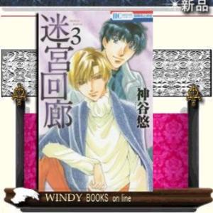 迷宮回廊3