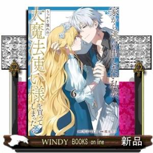 家から逃げ出したい私が、うっかり憧れの大魔法使い様を買ってしまったら　６