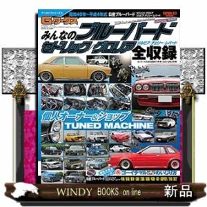 G-ワークスアーカイブシリーズみんなのブルーバードセド