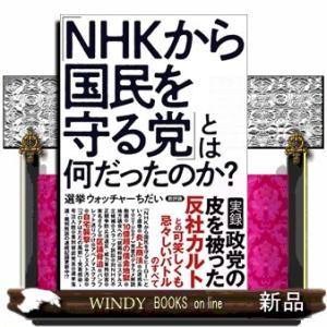 「ＮＨＫから国民を守る党」とは何だったのか？