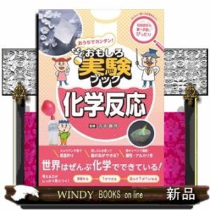 おうちでカンタン！おもしろ実験ブック　化学反応