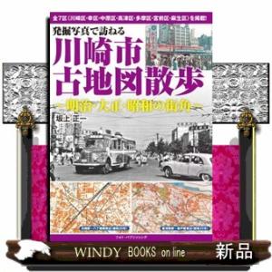 Angine de Poitrine / Vol.1 (アナログレコード) 〔LP〕 : HMV&BOOKS