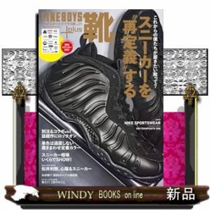 ＦＩＮＥＢＯＹＳ＋ｐｌｕｓ　靴　ｖｏｌ．２１  Ａ４