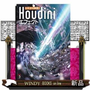 ひたすら実践！　Ｈｏｕｄｉｎｉエフェクト  Ｂ５