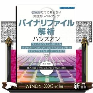 バイナリファイル解析ハンズオン　ツールだけに頼らない実践力レベルアップ  エンジニア入門シリーズ