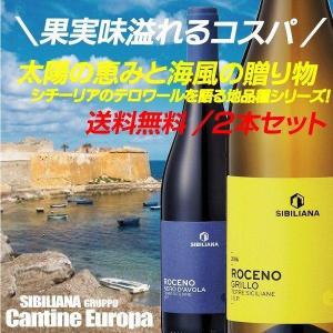 ワイン ワインセット 赤 白 送料無料 ロチェーノ2本セット750ml×2本 wine set｜wine-com