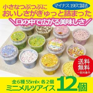 ギフト アイスクリーム 送料無料 {ミニメルツアイス12個セット} 詰め合わせ セット 冷凍便