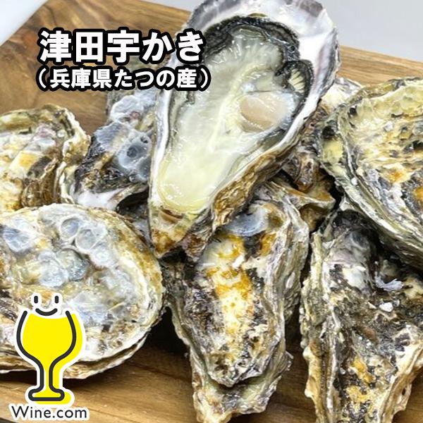 生牡蠣 生食用 大田市場直送 山小三 殻付き かき カキ オイスター 国内産真牡蠣 兵庫県たつの 津...