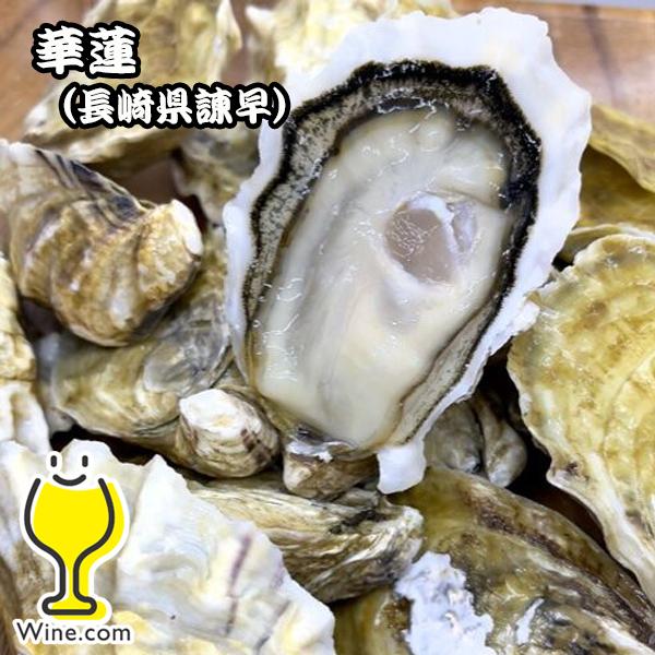 大田市場直送 山小三 殻付き かき カキ オイスター 国内産真牡蠣 長崎県諫早 華蓮 1個 クール便