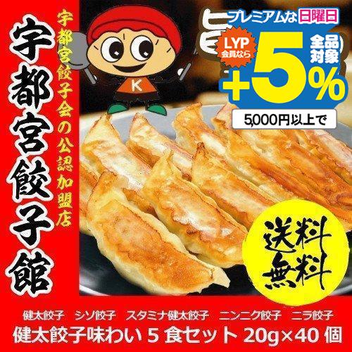 餃子 点心 ギフト 送料無料 宇都宮餃子館 味わい5色セット 20g×40個 食品・冷凍品 メーカー...