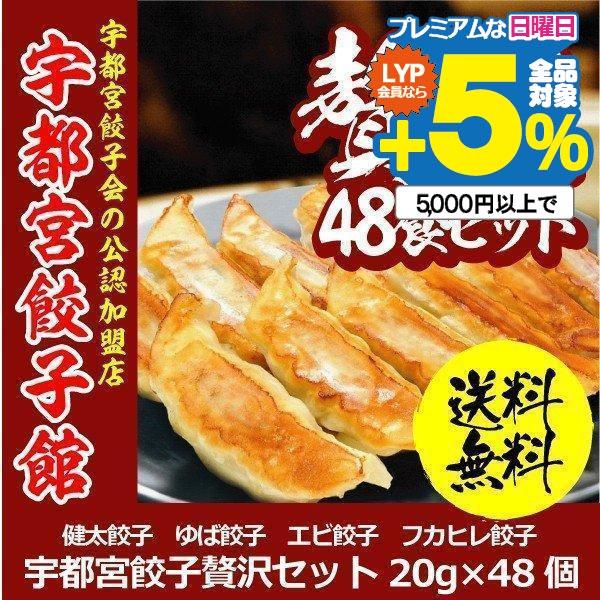 餃子 点心 ギフト 送料無料 宇都宮餃子館 贅沢4種セット 8個×6パック 48食セット 食品・冷凍...