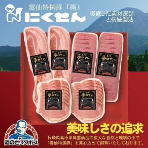 雲仙ハム【送料無料】クール発送 （1本 300g × 3本入り） 長崎 島原
