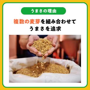 スタイルフリー 350ml 48本 発泡酒 糖...の詳細画像3