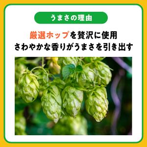 スタイルフリー 350ml 48本 発泡酒 糖...の詳細画像4