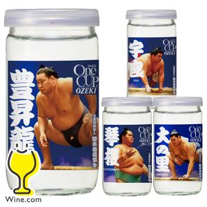 日本酒 桜花賞馬 ジーワンカップ  大関 上撰ワンカップ