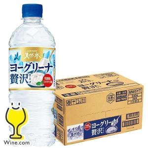 伊右衛門（サントリー） 特水 送料無料 サントリー 600ml×1ケース/24本
