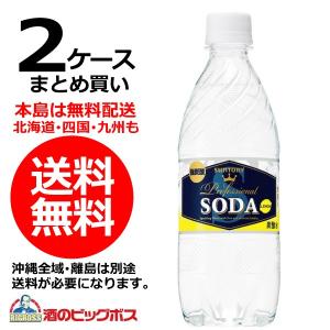 送料無料 サントリー　ソーダレモン　強炭酸　490mlペットボトル×2ケース/48本(048) 『FSH』｜wine-com