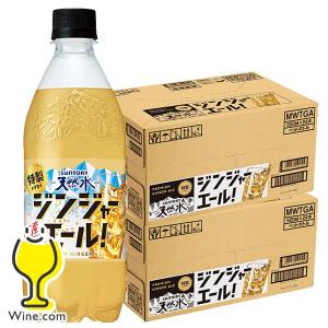 炭酸飲料 送料無料 サントリー天然水 特製ジンジャーエール 500ml×2ケース/48本(048)『SUF』