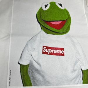 Supreme シュプリーム 08SS Ker...の詳細画像3