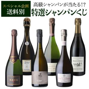 シャンパン 送料無料 7777 特選 シャンパンくじ 高級シャンパンを探せ 14弾 先着300セット 福袋 シャンパーニュ Wくじ