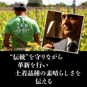 赤ワイン ネロ ダヴォラ テッレ シチリアーネ...の詳細画像2