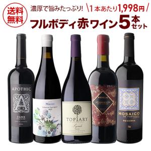 濃厚で旨みたっぷり！飲みごたえ抜群の赤ワインを厳選 超厳選 フルボディ 赤ワイン 5本セット 19弾 金賞＆超高得点入り！(送料無料) お祝い ギフト 浜運A