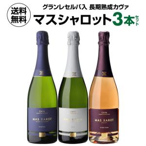 五島の椿 GOTOGIN 空よ雲よ 3rd anniversary ゴトジン 開業3周年記念