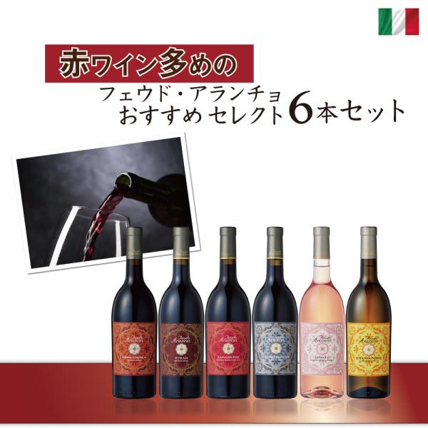 フェウド・アランチョ おすすめ 赤ワインを中心に選んだワイン6本セット　750ml×6本　ネロダーヴ...