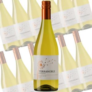 シャルドネ/テラノブレ　750ml×12本　(白ワイン）｜wine-sakesen