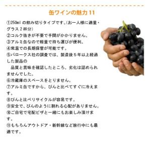バロークス 缶 白スパークリング 250ml×...の詳細画像4
