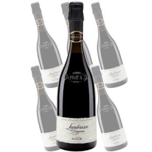 ランブルスコ・レッジャーノ・セッコ“スカリエッティ・ボトル”/ドネリ社　750ml×6本 (赤スパー...