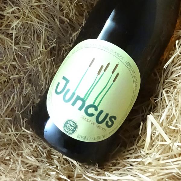 フンクス・アンフォラ　／　Juncus Amphora 2022 ヴィノス・ナチュリ　750ｍｌ　（...