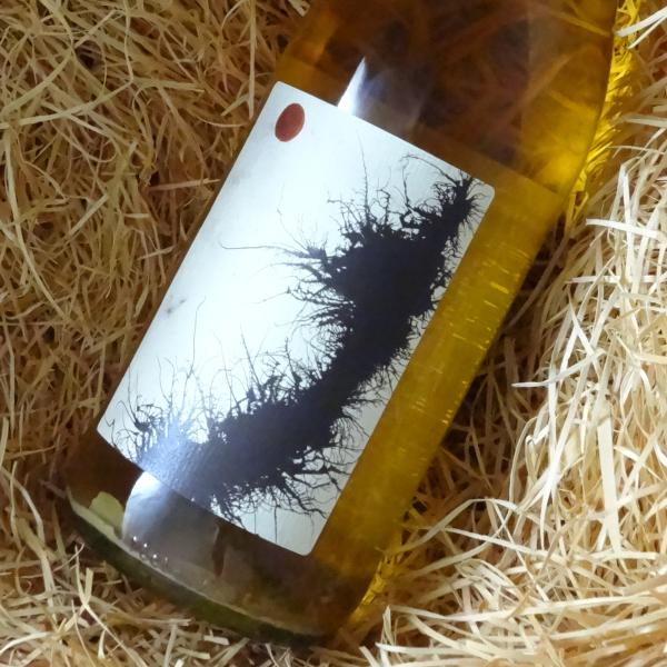 マリア・ボルトロッティ　ファレスタ　ピニョレット　２０２２　７５０ｍｌ　（白<微発泡>ワイン）　　