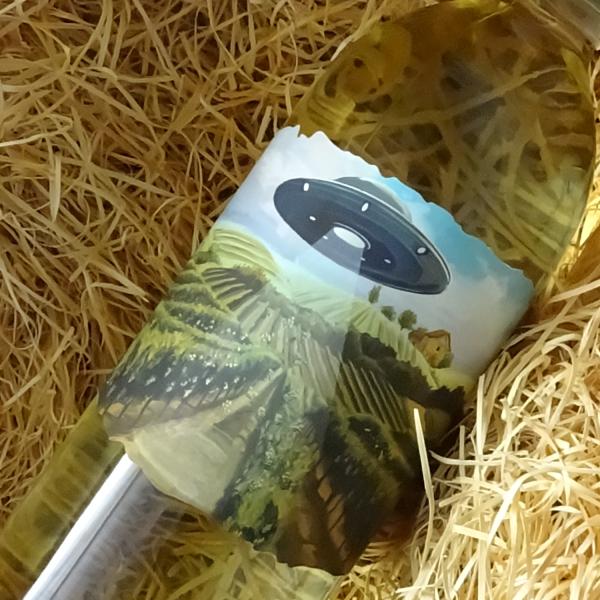 グンツ　グレープアブダクションカンパニー　白　2024　1L　（白ワイン）（スクリューキャップ）