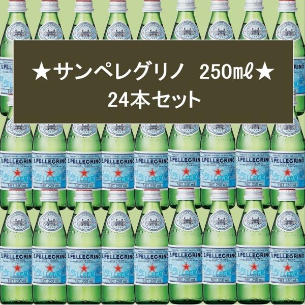 炭酸入り ナチュラルミネラルウォーター サンペレグリノ 瓶 250ml×24本入 正規輸入品