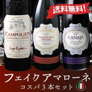 イタリアワイン ワインセット フェイクアマローネ コスパ3本 赤ワイン｜wine-yandm