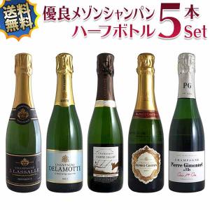 ダブルマグナム 化粧箱入 バルディビエソ ブリュット [NV] 3000ml