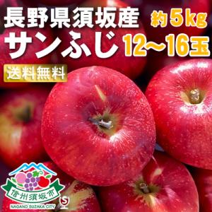 6信州須坂産　サンふじりんご　秀12〜16玉　約5kg｜wineclubsato